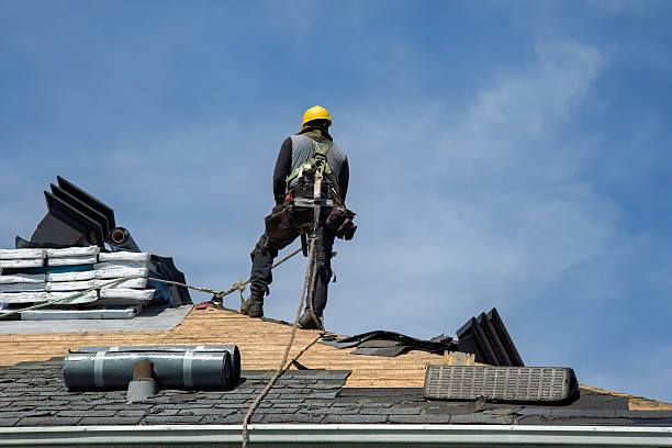 Professional Roof Repair technician working in Lake Mc Donald, MT